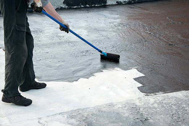 Best Concrete Sealing and Maintenance in Ocoee, FL